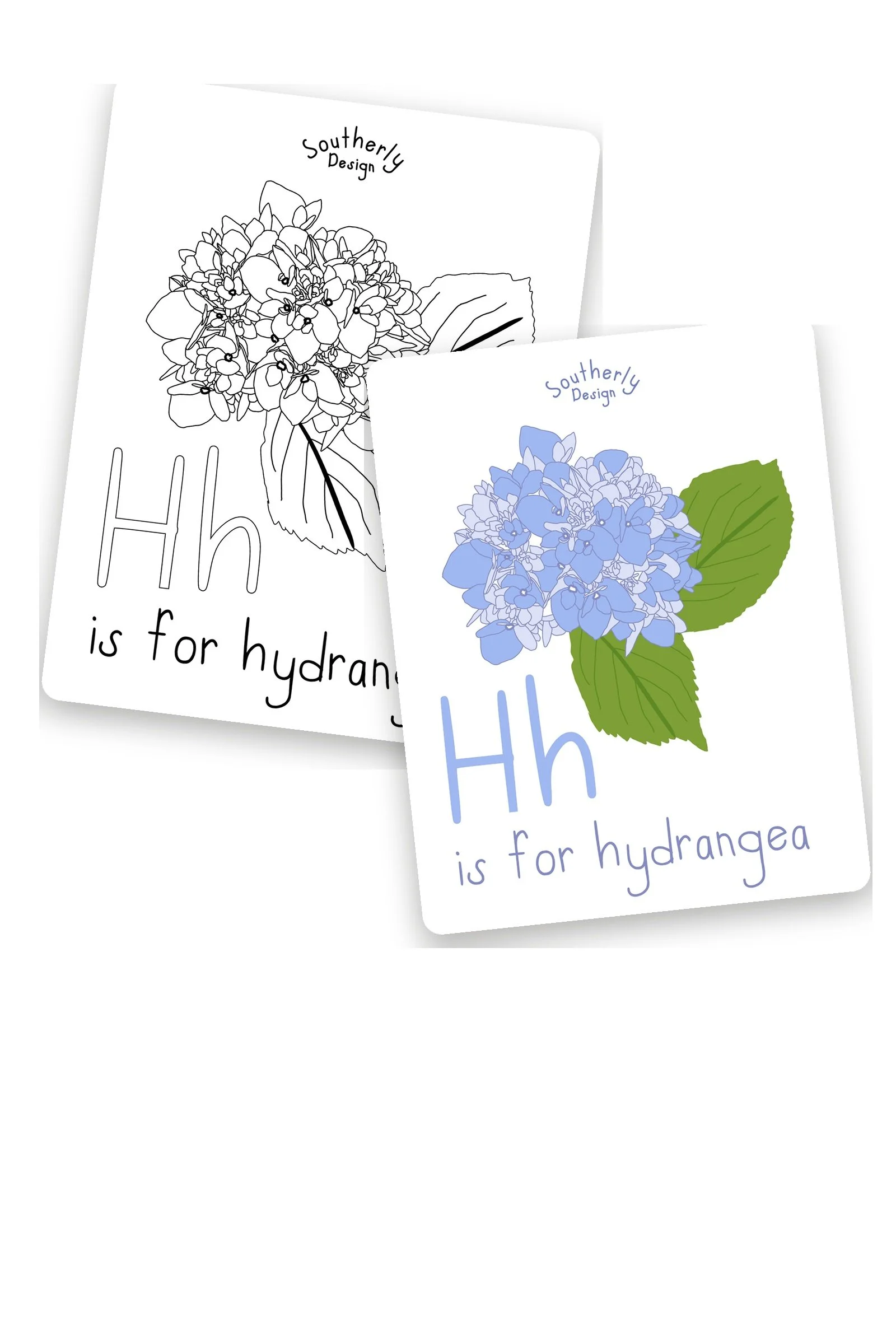 H is for Hydrangea Coloring Page