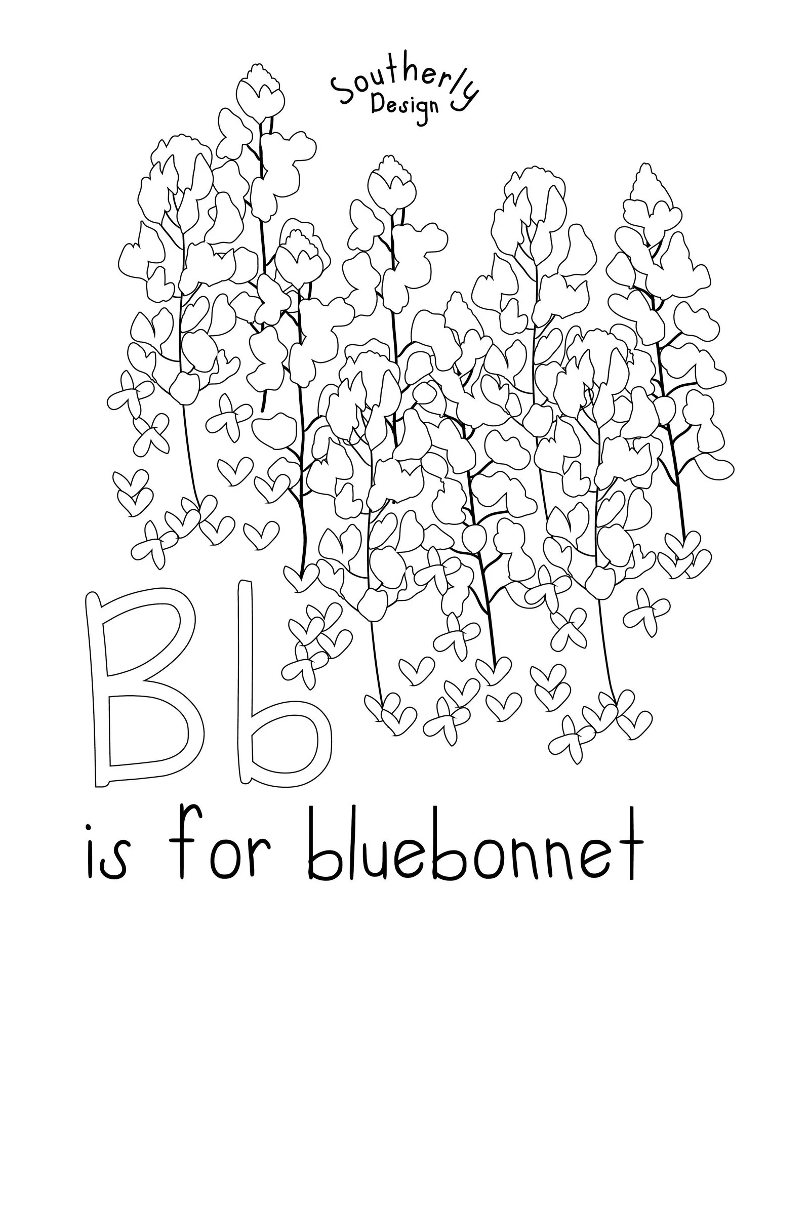 southerly-bluebonnet-line-2x3 (1).jpg
