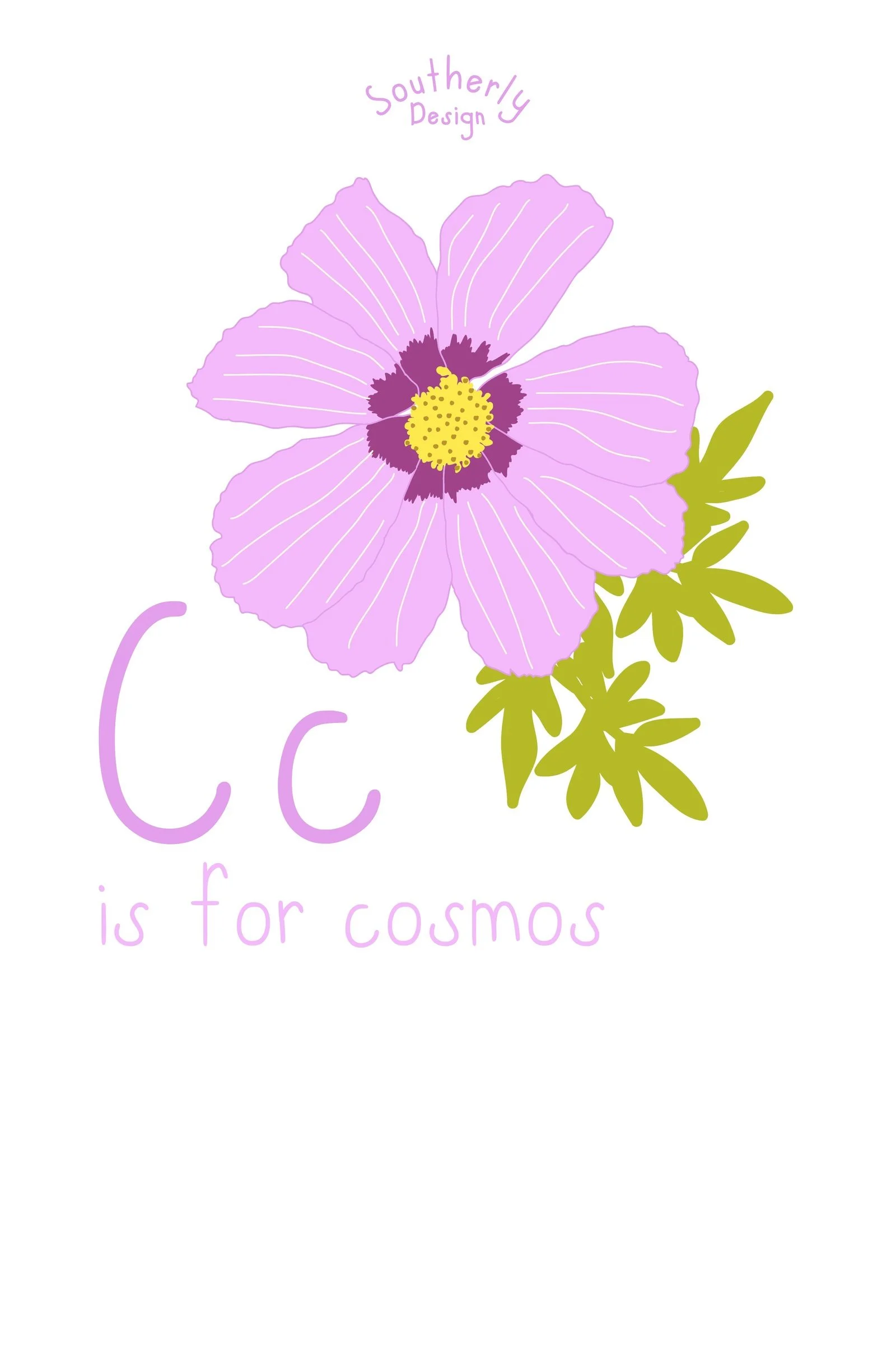 southerly-cosmos-color-2x3.jpg