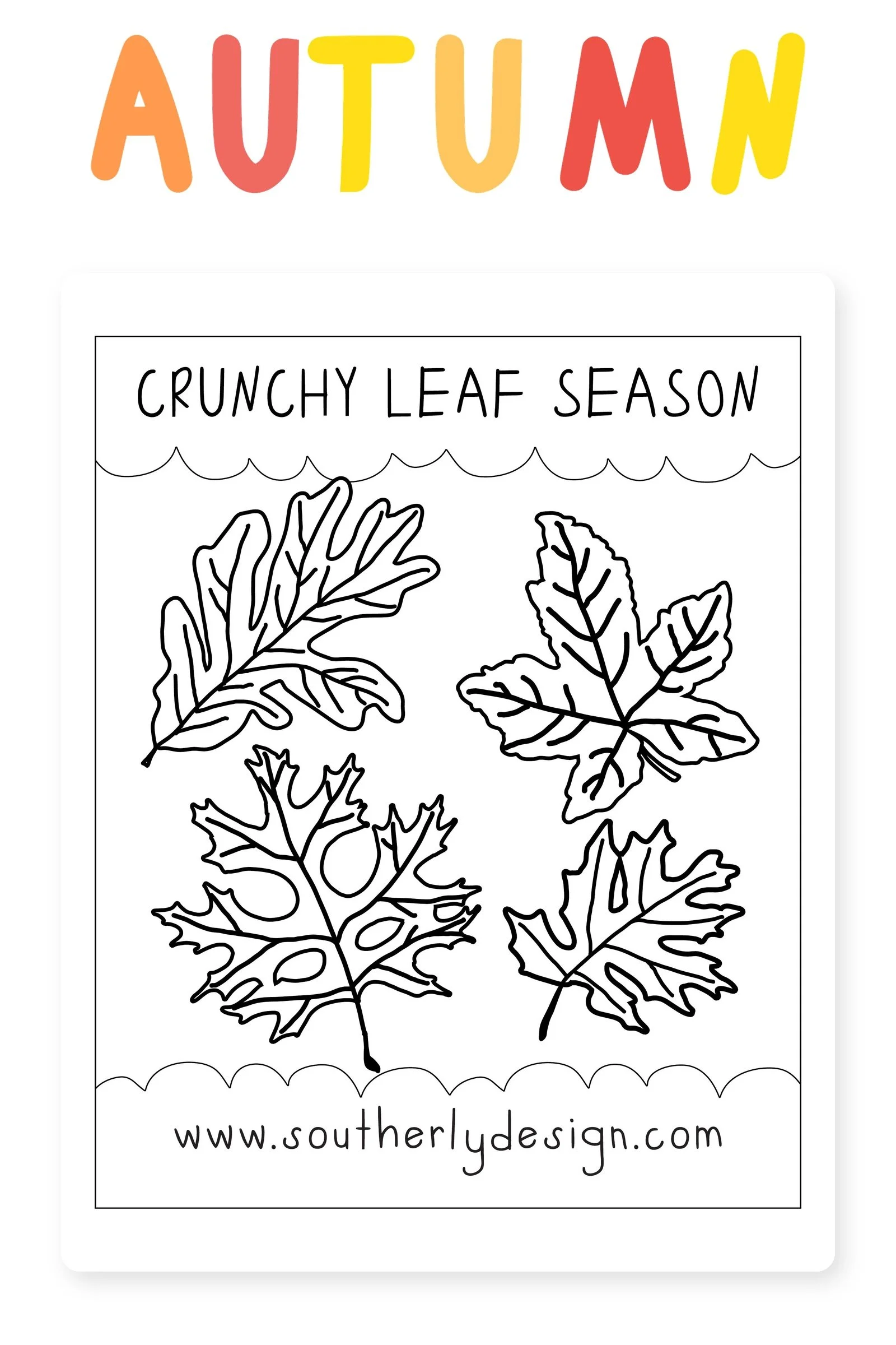 southerly-fall-shop-crunchy-1600x2400.jpg