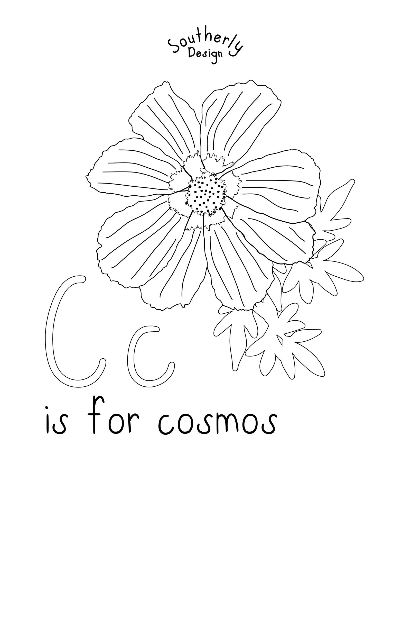 southerly-cosmos-line-2x3.jpg