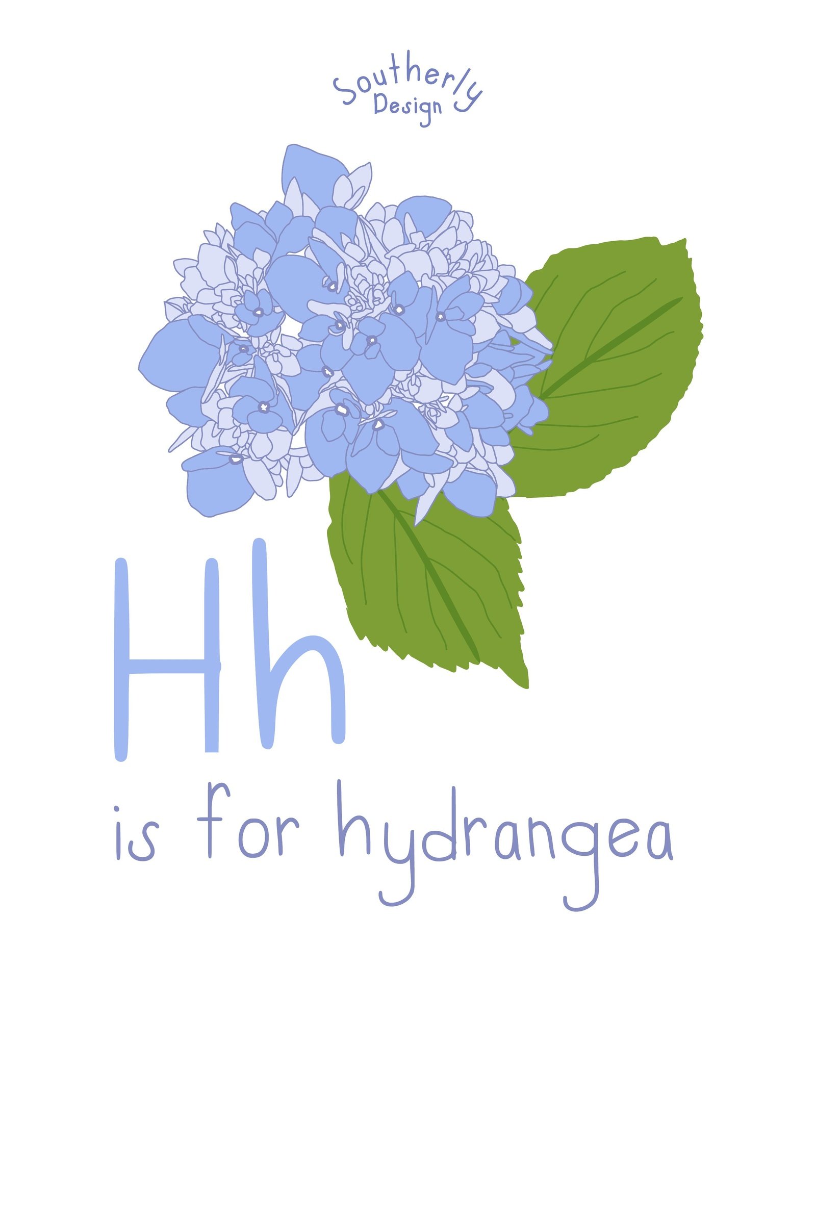 southerly-hydrangea-color-2x3.jpg