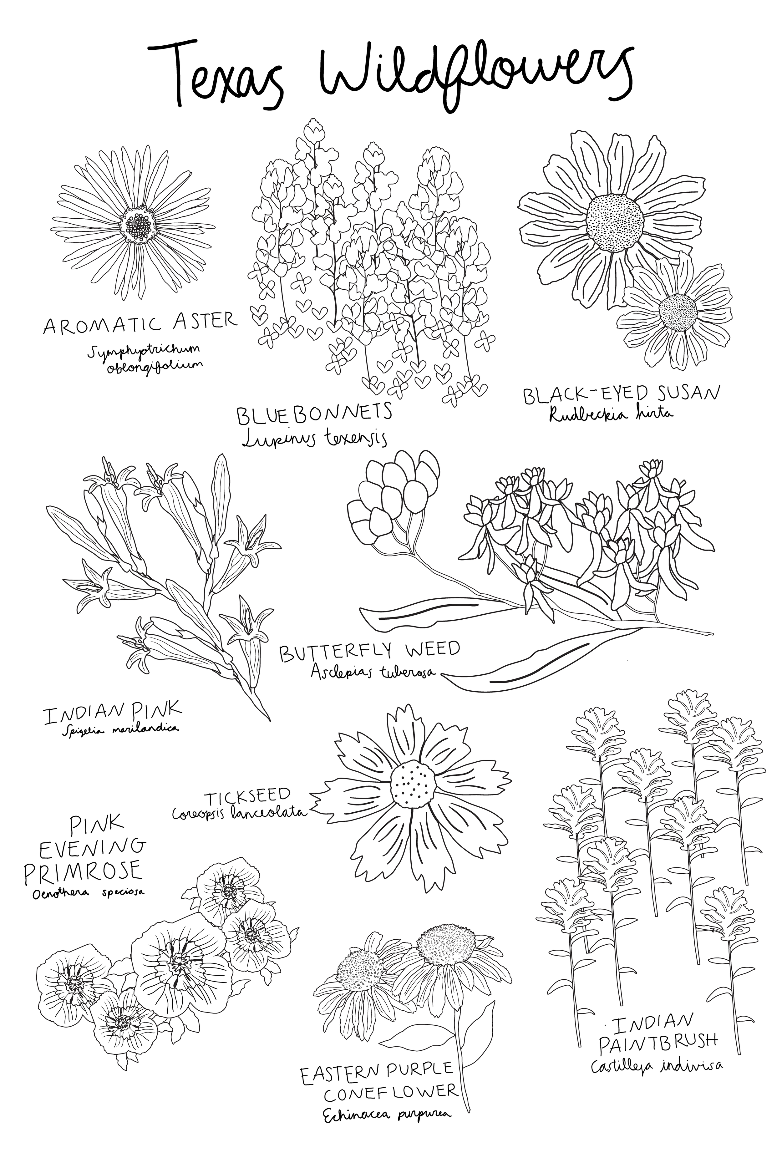 SQ Printable Images for Website-11.png