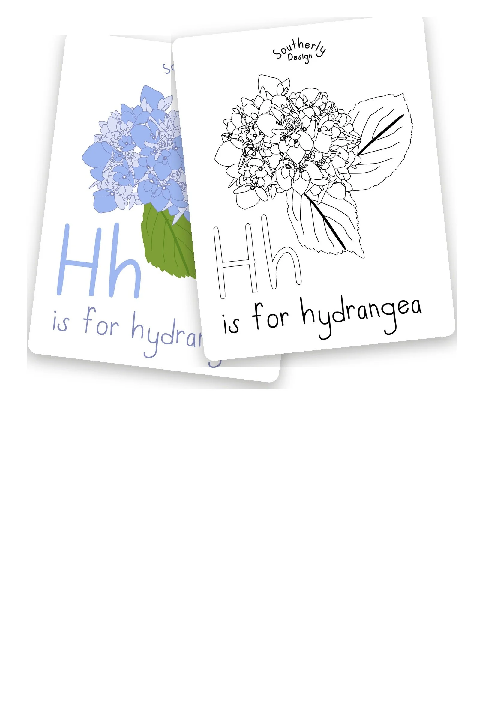 H is for Hydrangea Coloring Page