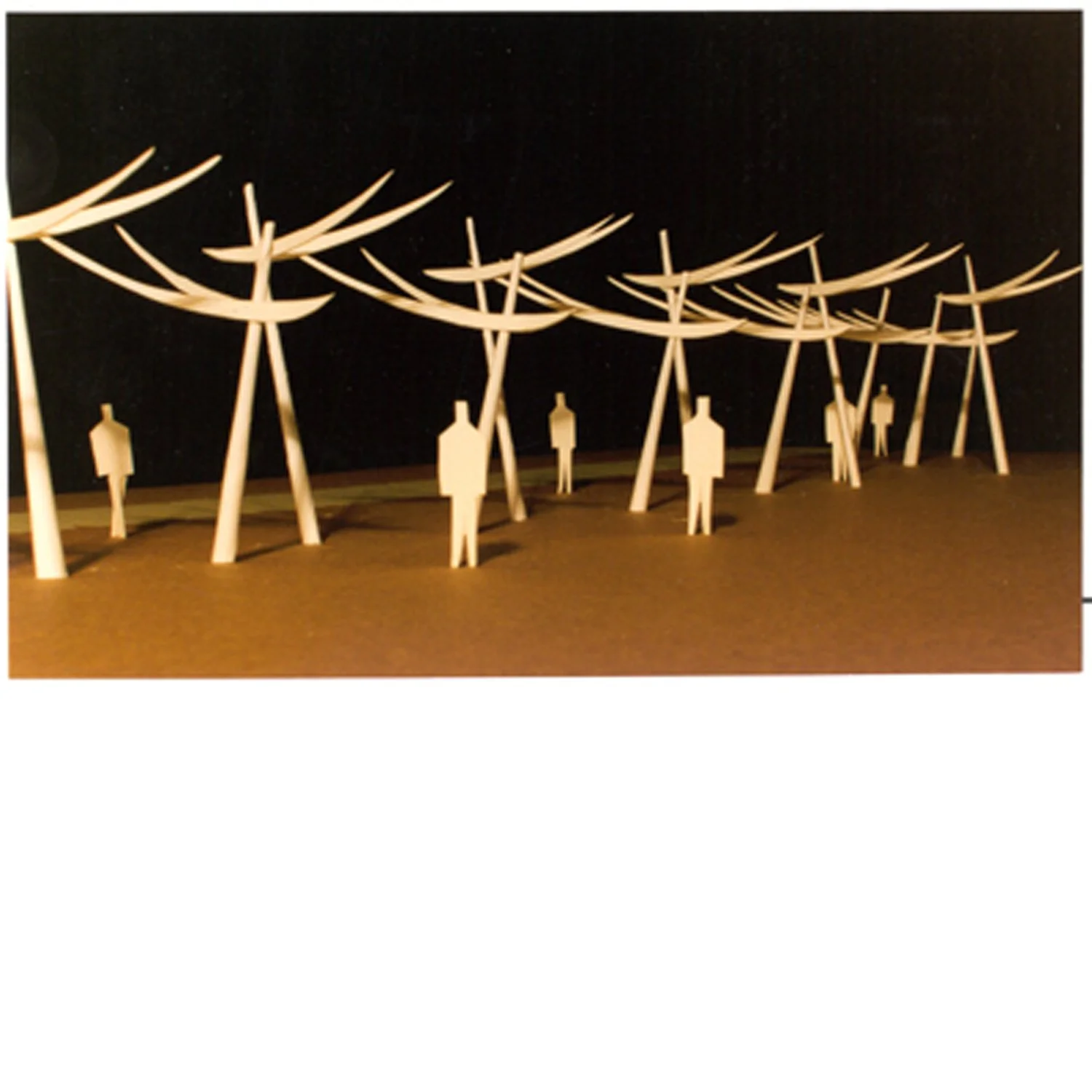 Arbor