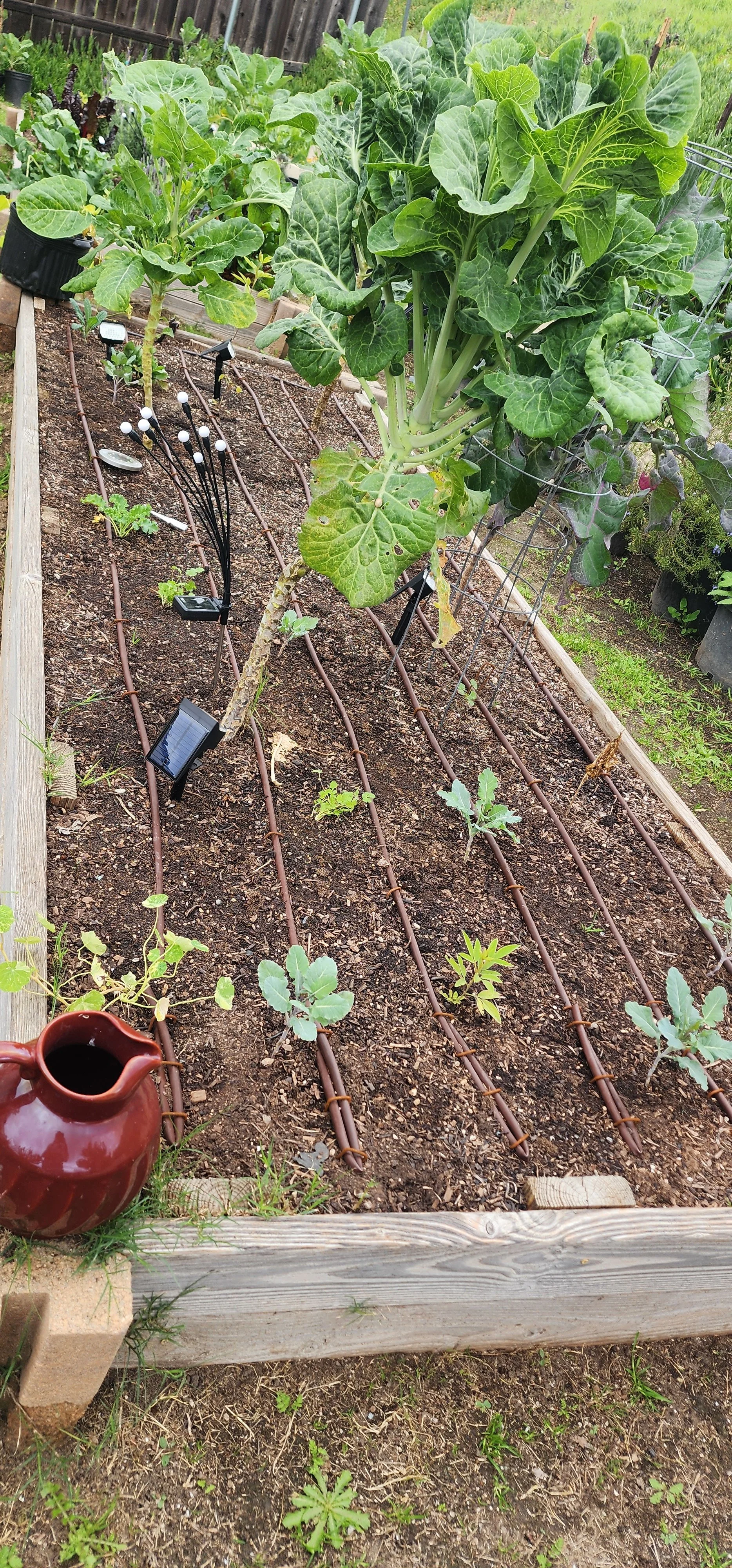 Entry No. 1 | January 2026