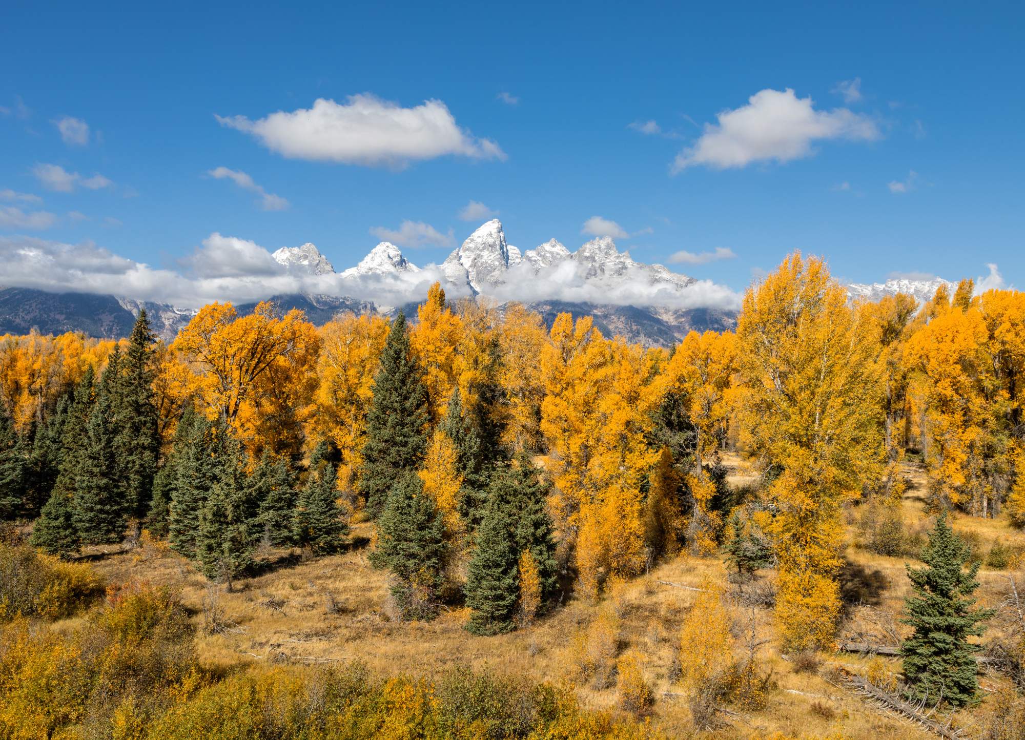 Autumn's Enchantment: Discovering the Magic of Fall in Teton Valley, Idaho