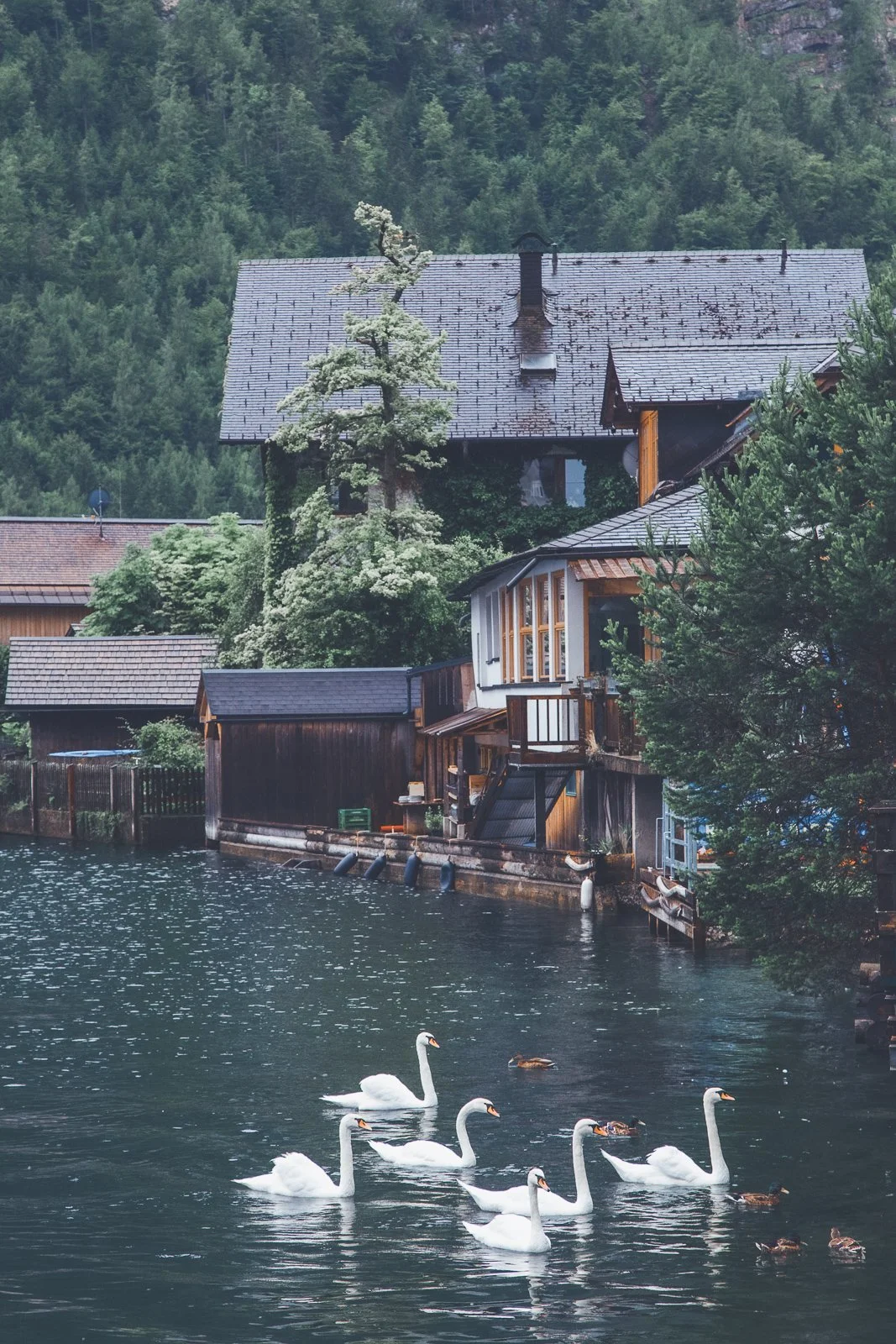 Lakeside Home, Austria