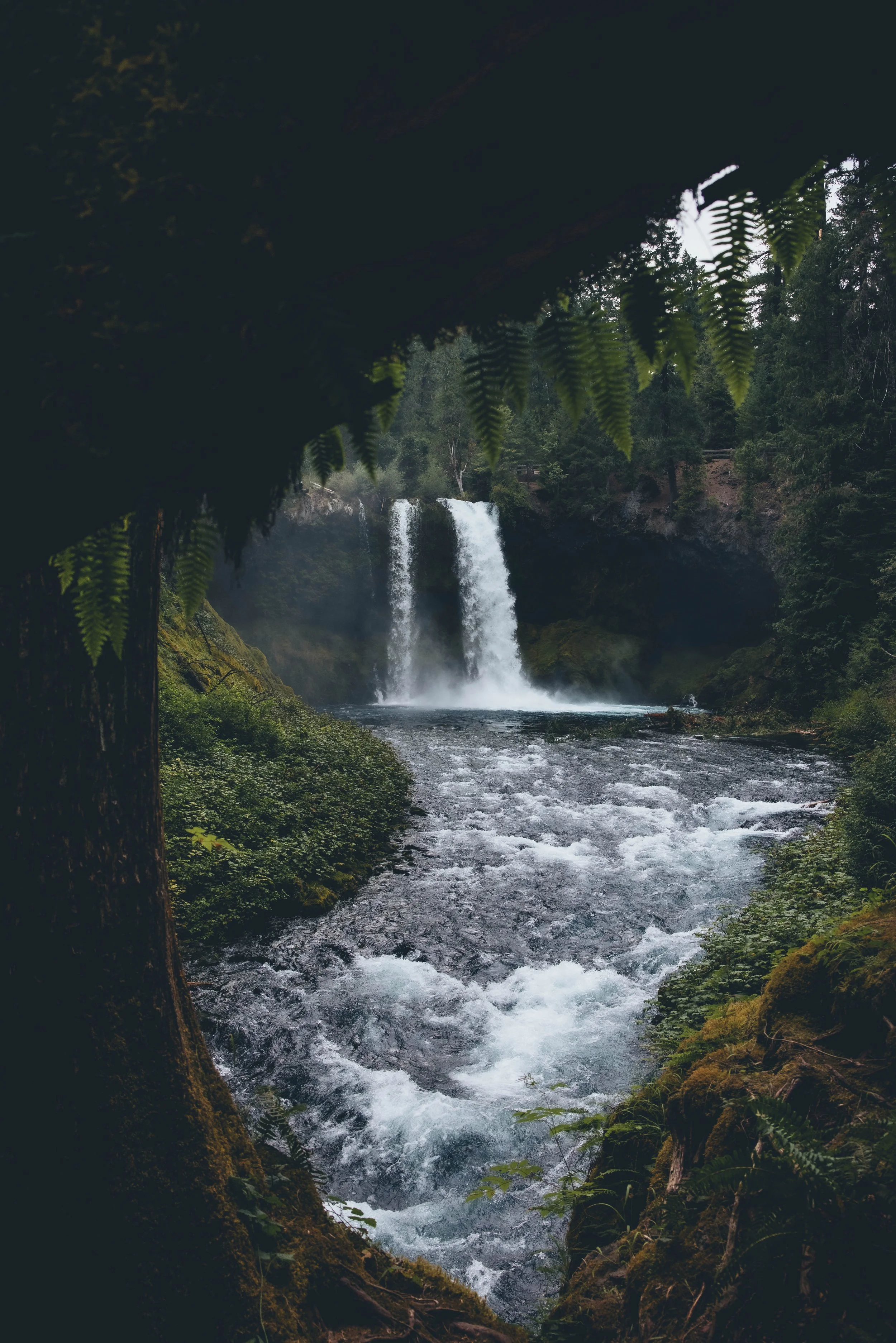 Koosah Falls
