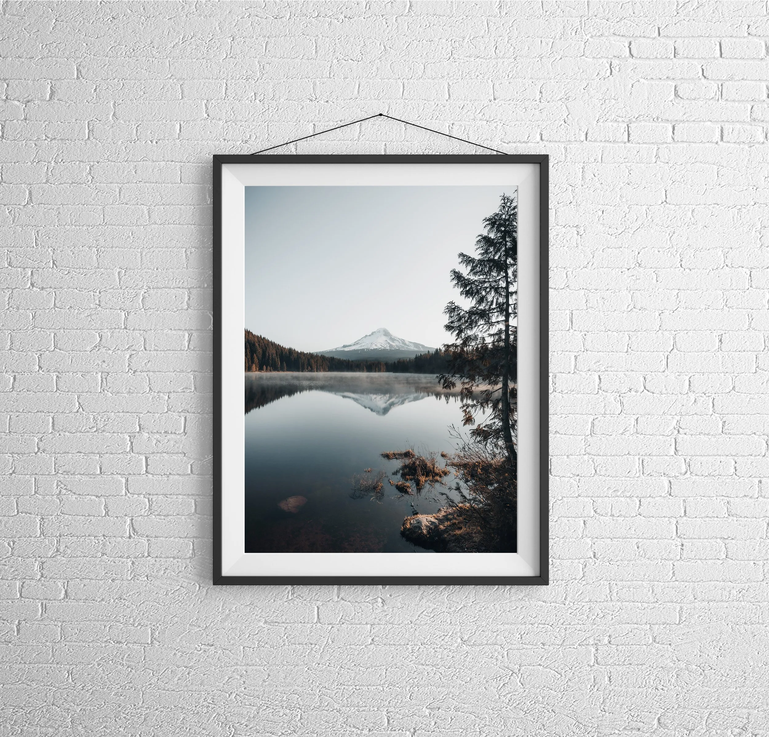 Trillium Framed.jpg