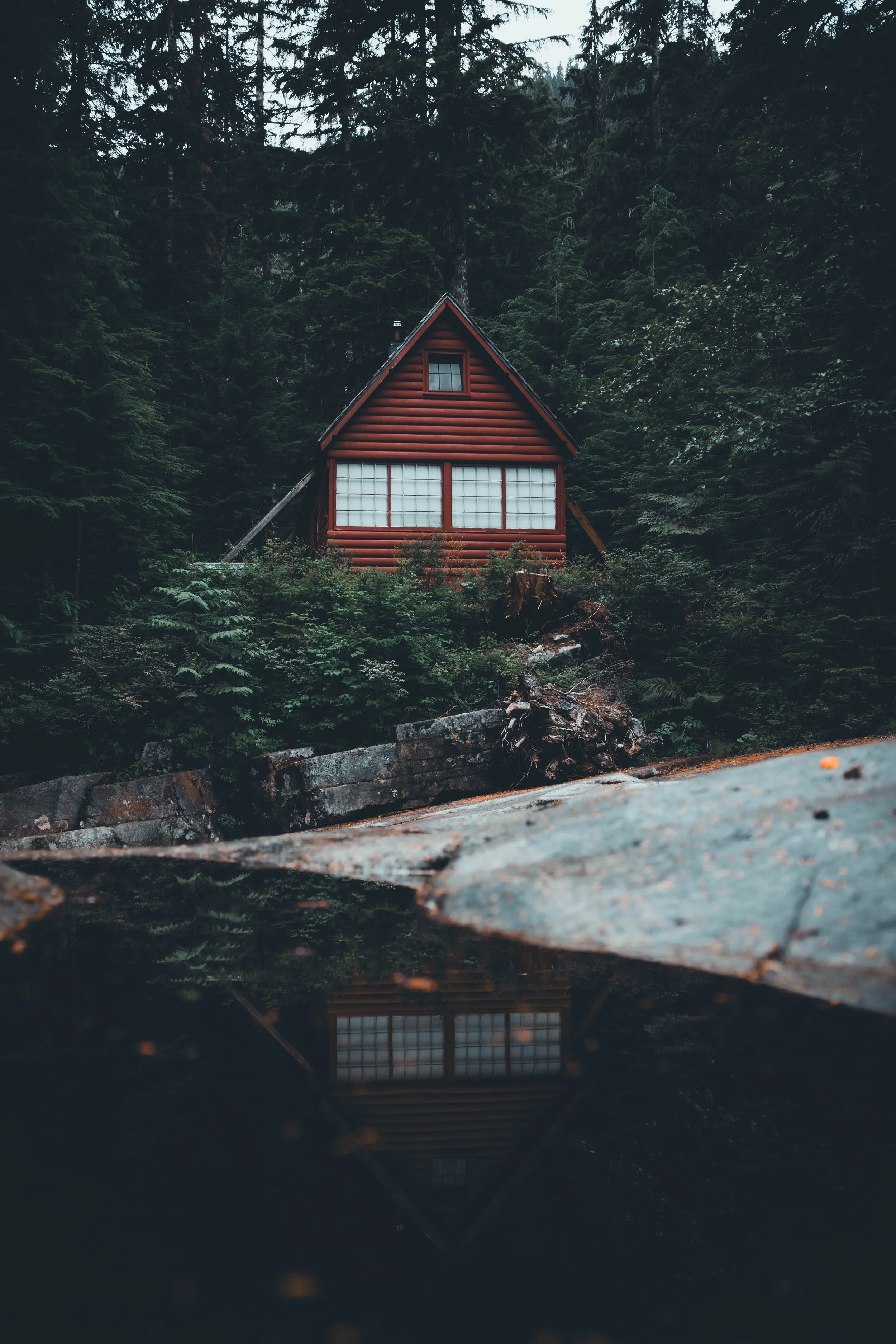 Cabin in the Woods