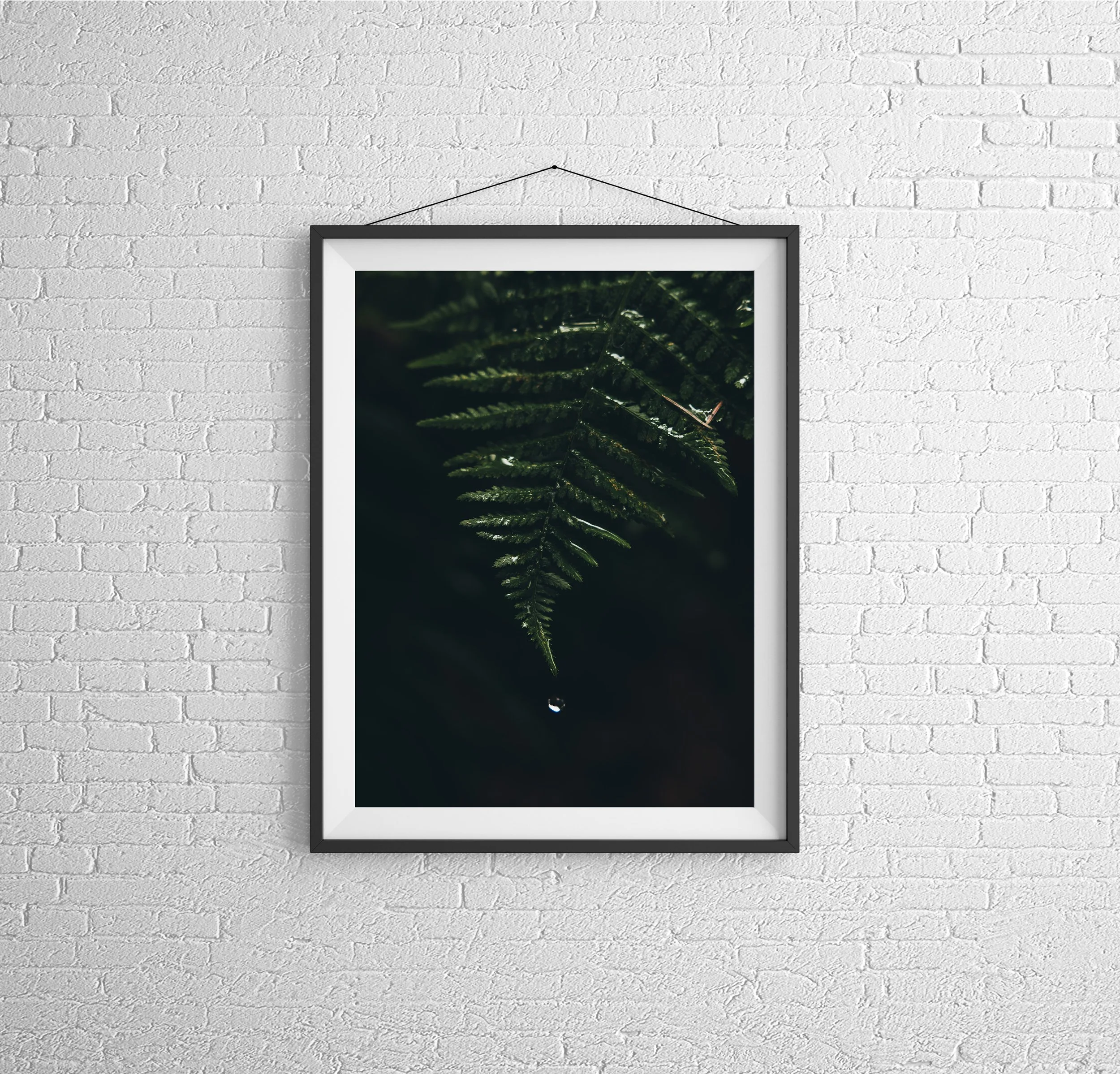 Fern Framed.jpg