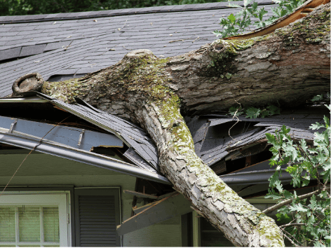 Storm restoration.png