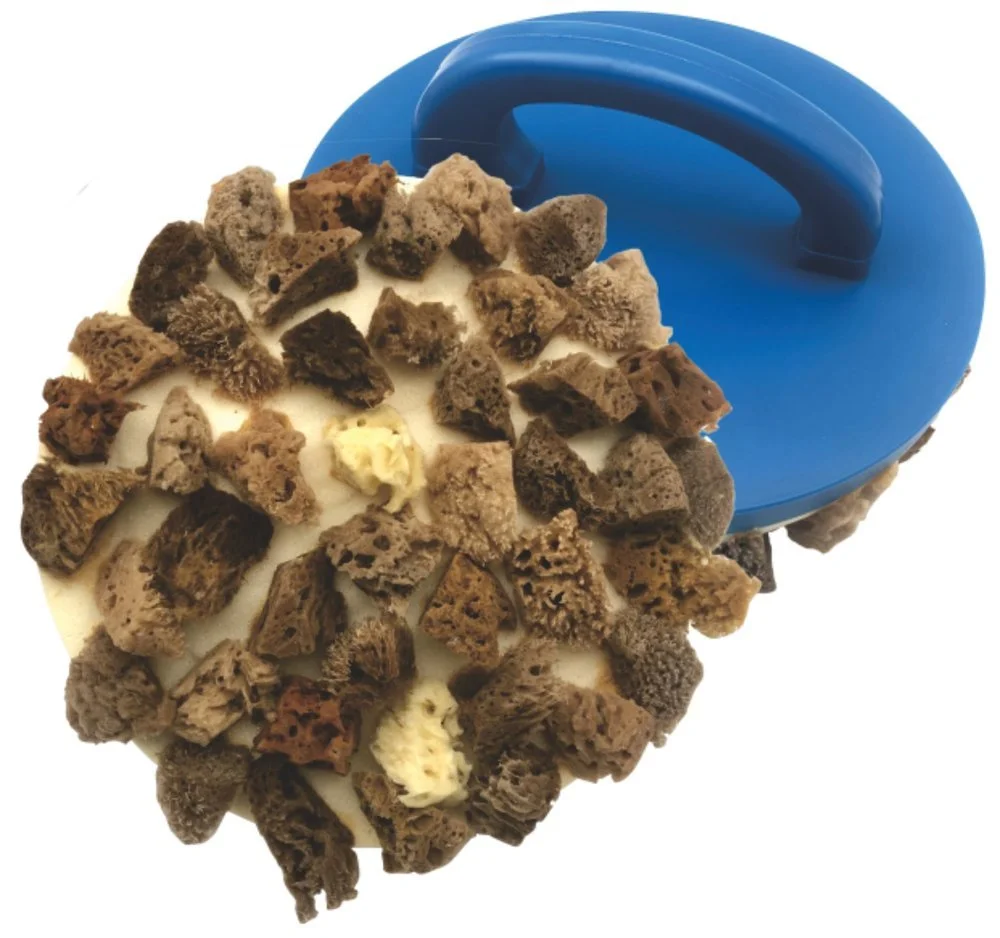 Porous+Texture+Grip+Brush.jpg