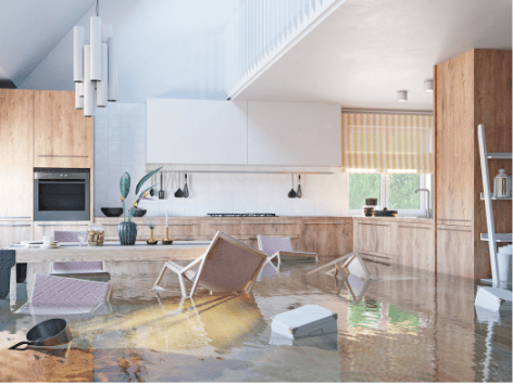 Restoration burnaby coquitlam vancouver.png