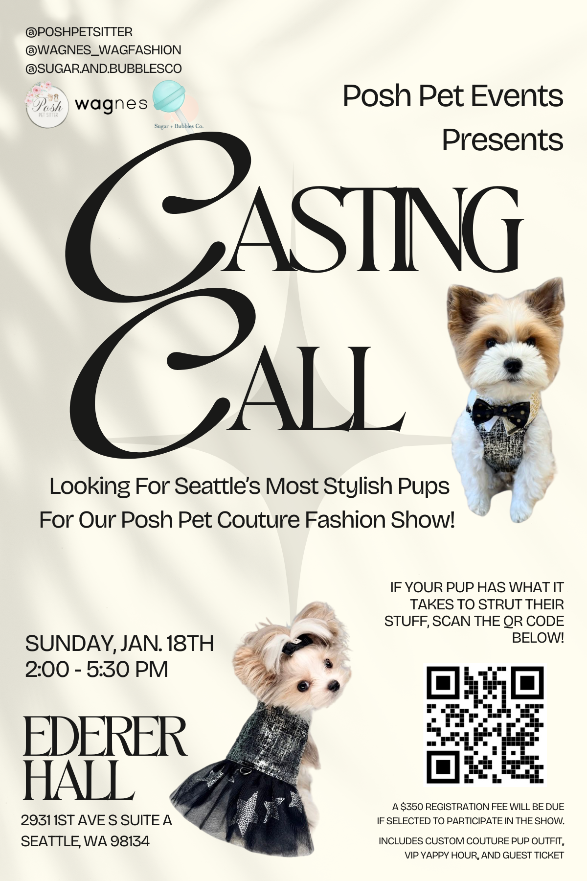 Casting Call for The Posh Pet Couture Fashion Show Coming May 2026