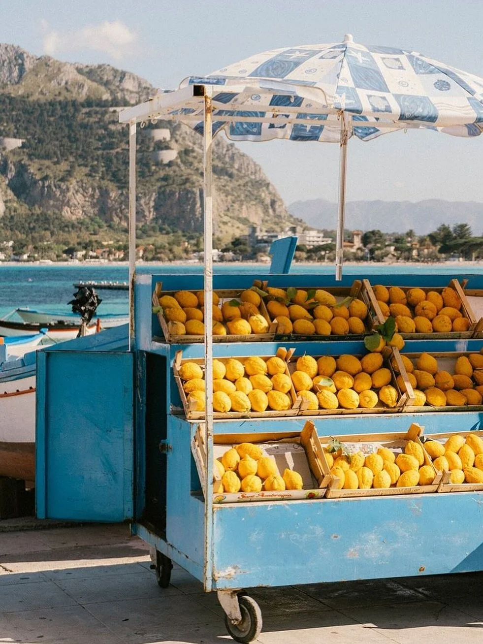 Citrus Club

#mediterrneantears

Credit: unknown