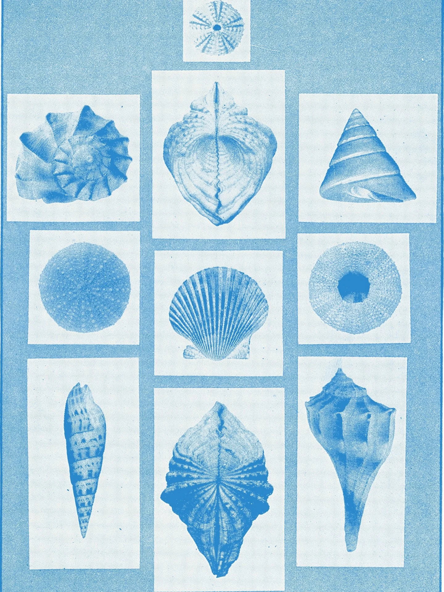 Ocean Collection

#mediterraneantears 

Credit: Applied Drawing, Harold Haven