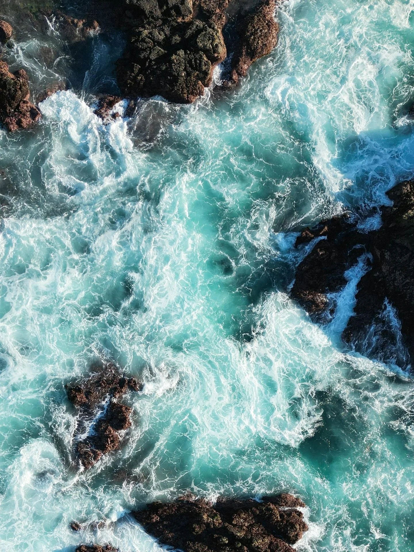 Wild Beauty

Credit: tommdolmann, moritz feldmann, nathan tran, rye bon