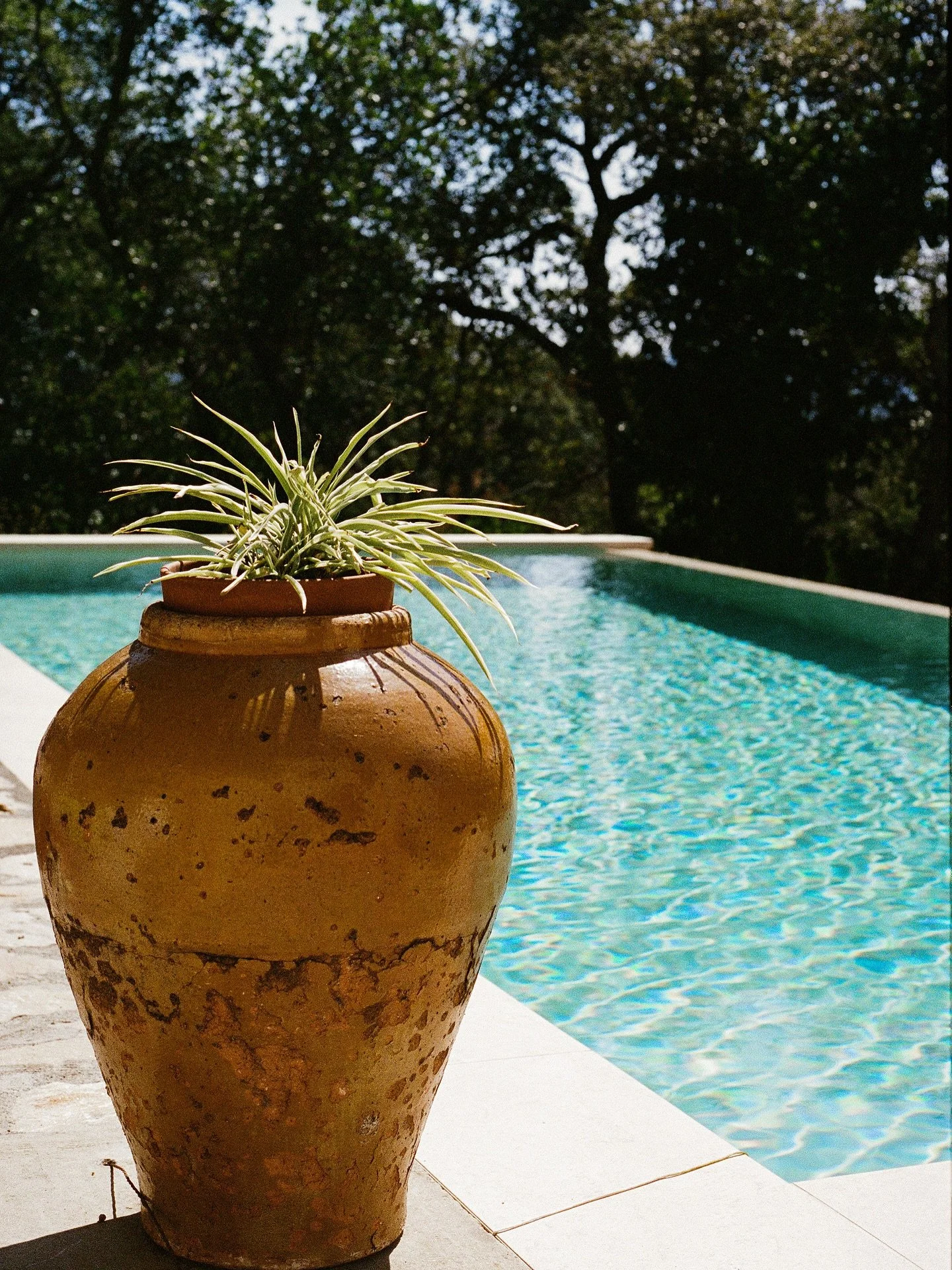 Calm Place

#oceanictears 

Credit: @azulisforma