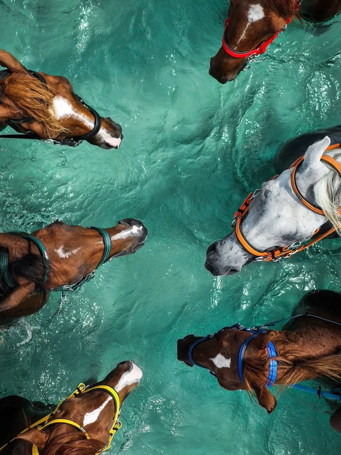 Water action 

#galleryazulis

by Mohammed Habib