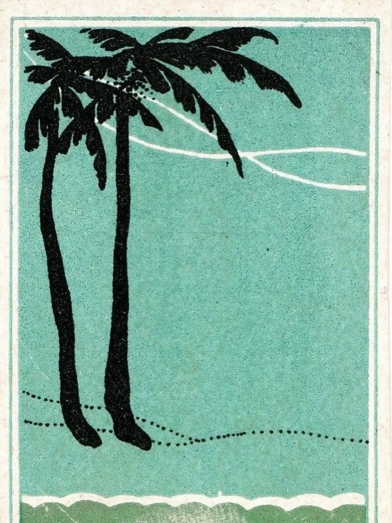 Arecaceae

#galleryazulis

by unkown