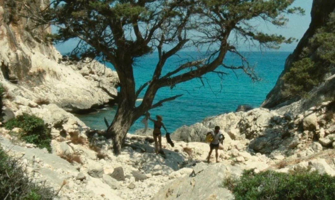 Swept Away

#galleryazulis

by Guy Ritchie