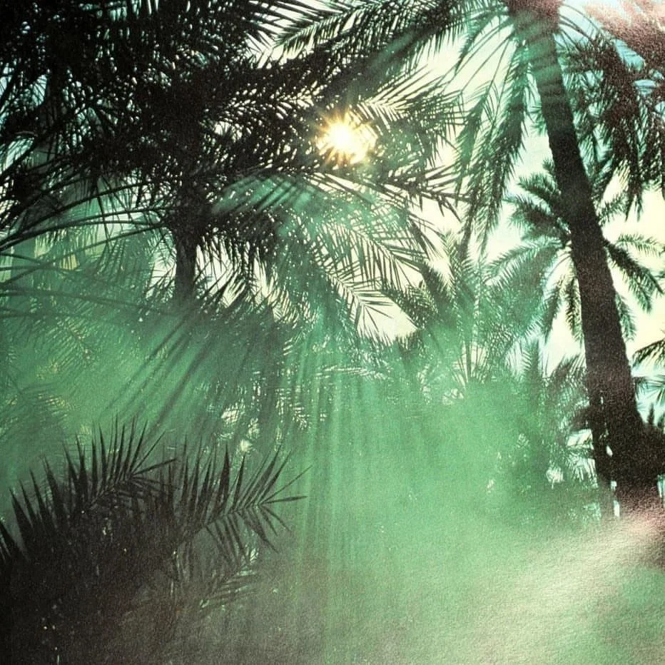 Tropical Rays

#galleryazulis 

by unknown