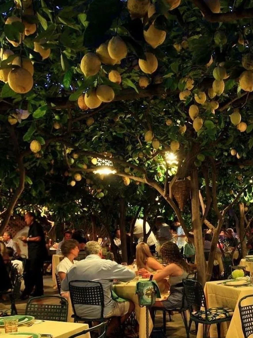 Dinner under the lemon trees 
- &ldquo;Da Paolino&ldquo; (Capri, Italy) 

#galleryazulis

by unknown