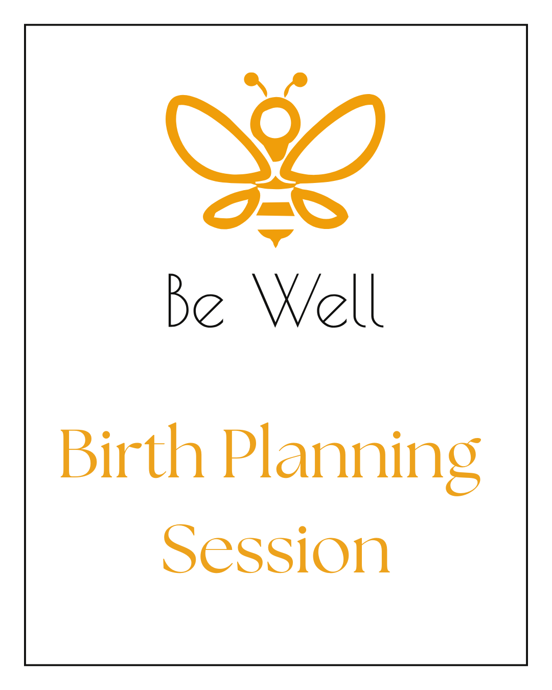 1-on-1 Birth Planning Session