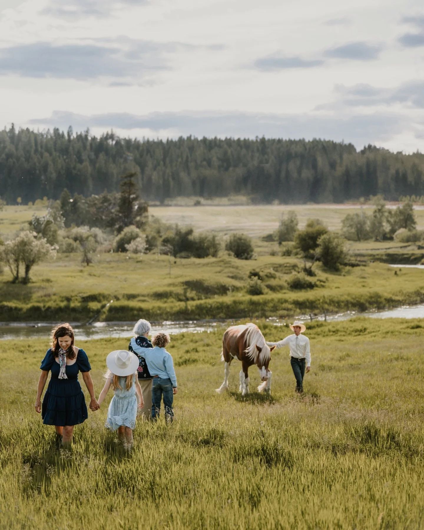Afternoon with Clydesdales? Yes, please! 🤍