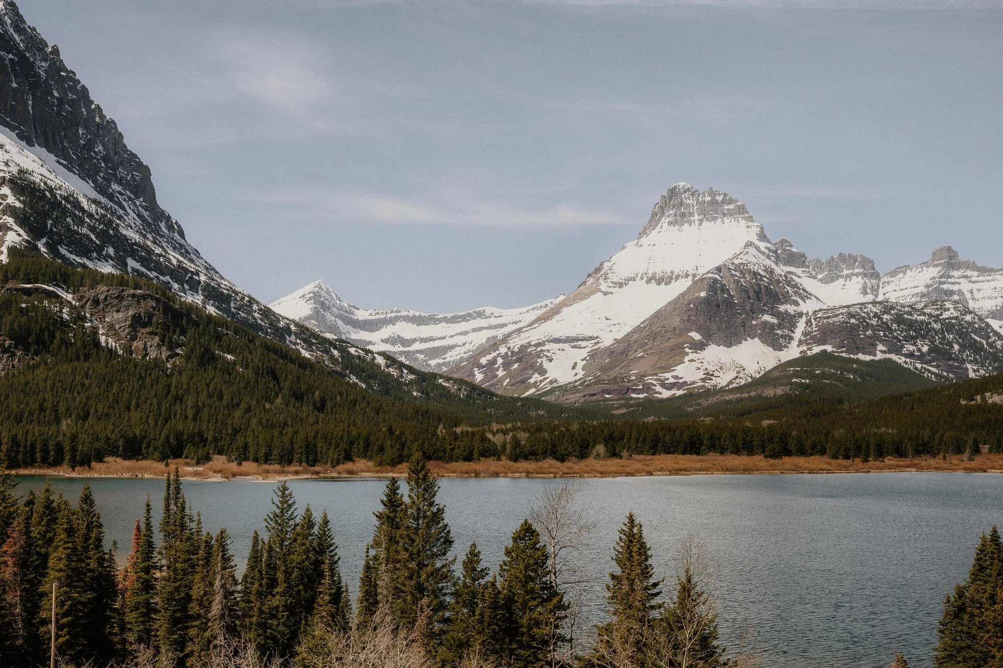 Glacier National Park Updates | June, 2026