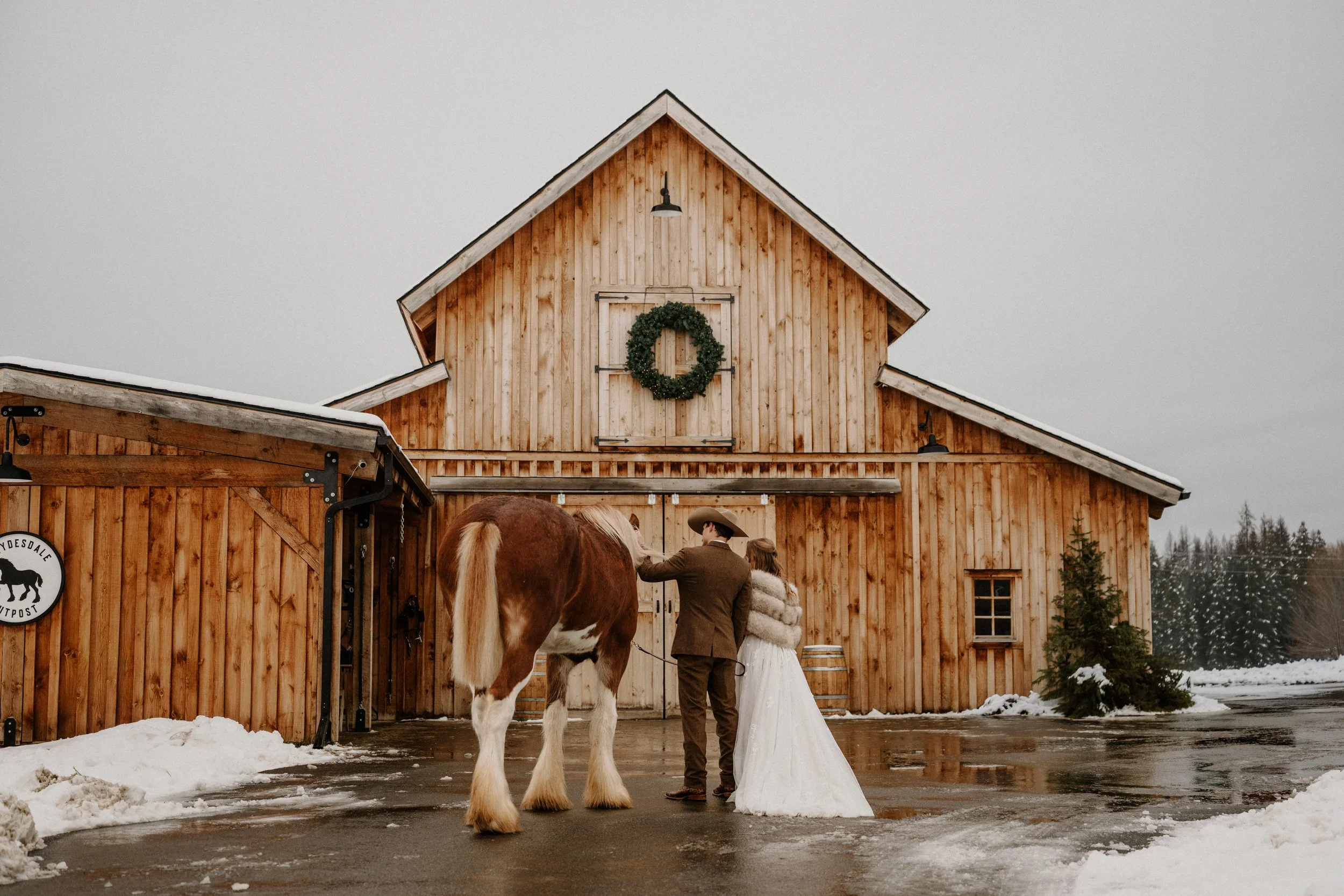 A couple dressed in wedding attire standing next to a large brown and white horse in front of a wooden barn decorated with a green wreath during a snowy day.