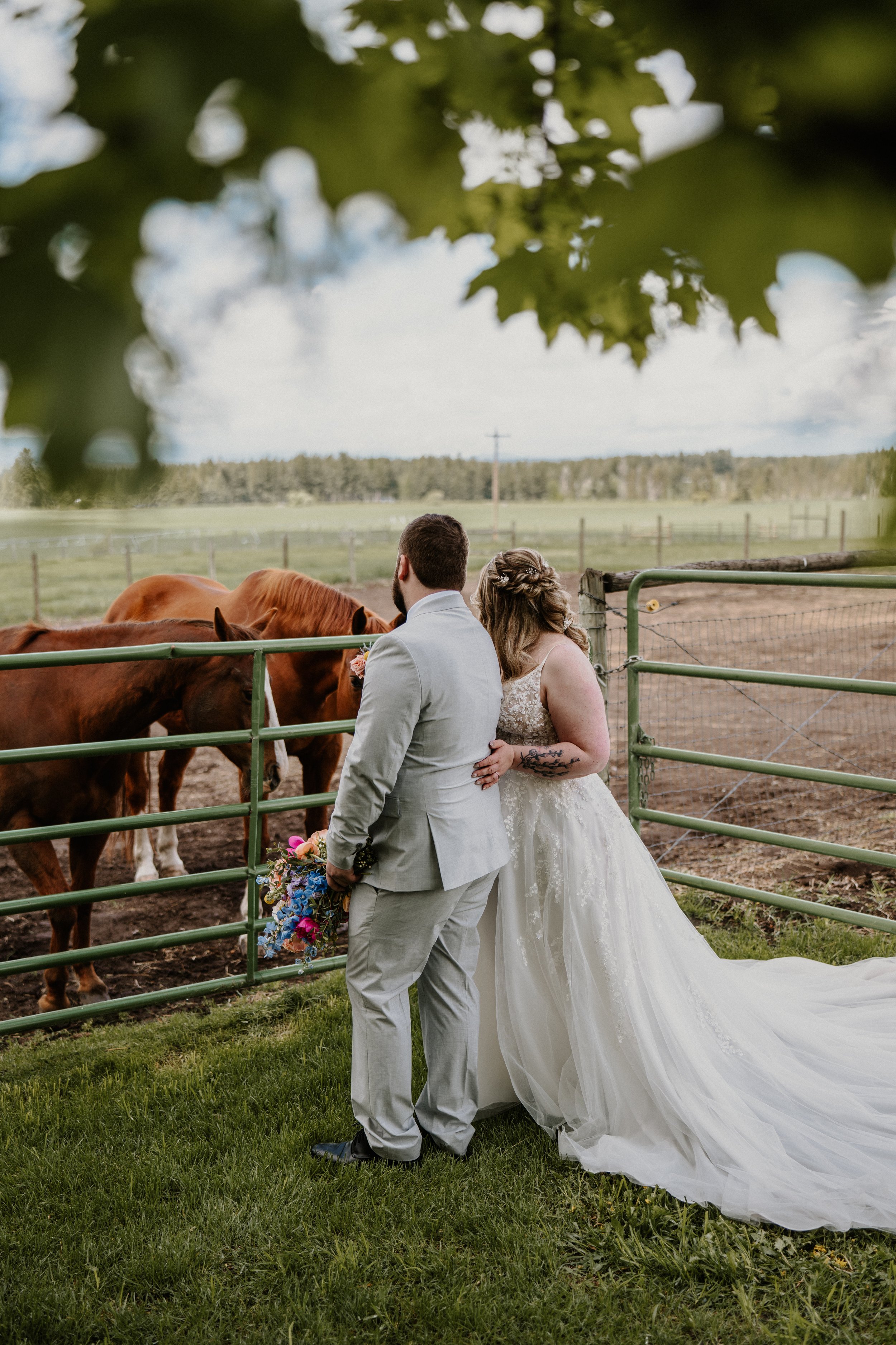 Alex and Lily watching horses at a farm fence under a wide Montana sky.