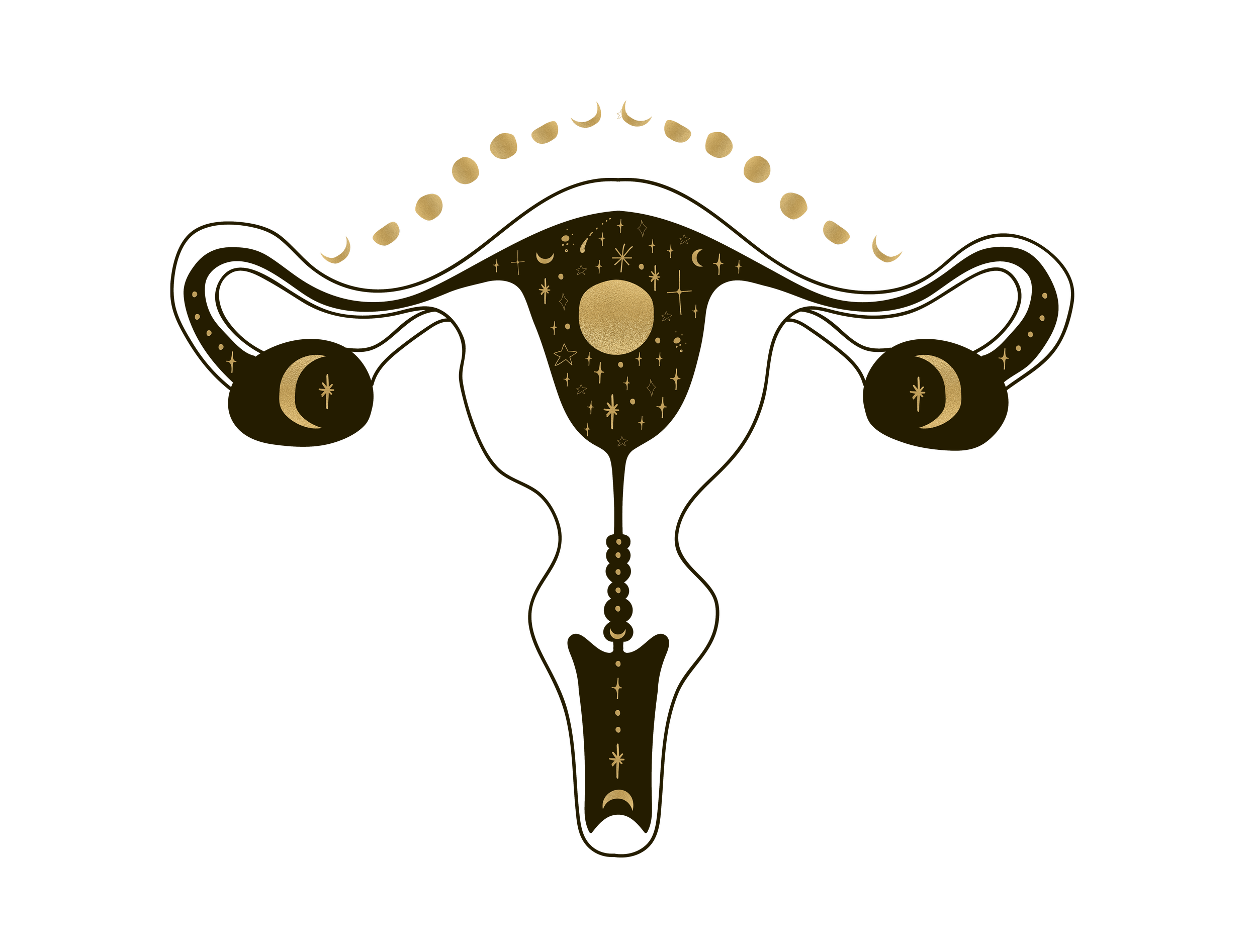 Musical Matriarch FREE Activation