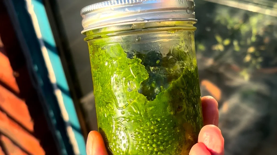 Green Detox Topper &amp; Spread