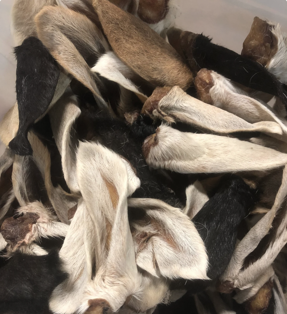 Screenshot 2026-01-11 at 5.15.03 PM.png