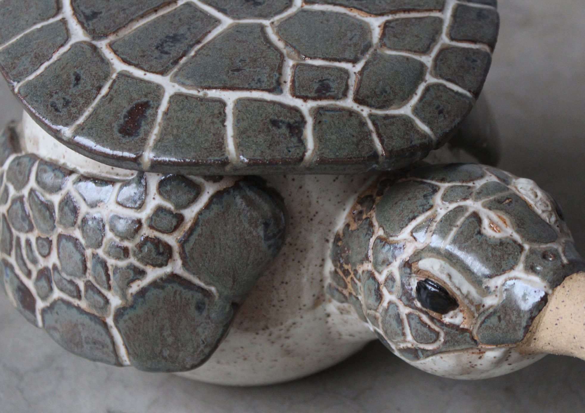 teapot turtle 4.jpg