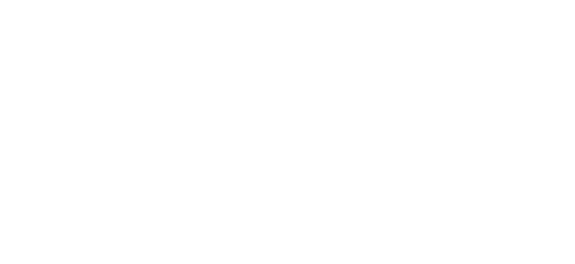 FlexFi Services