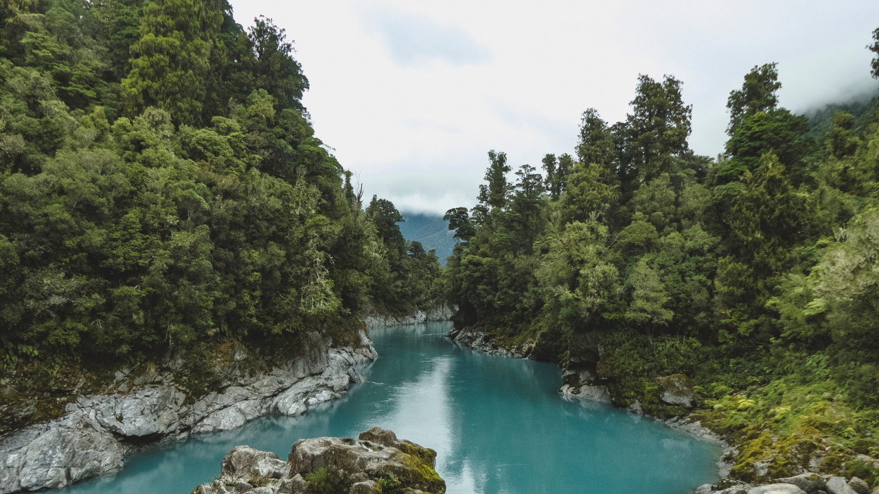 Submission against the Disestablishment of the Ministry for the Environment