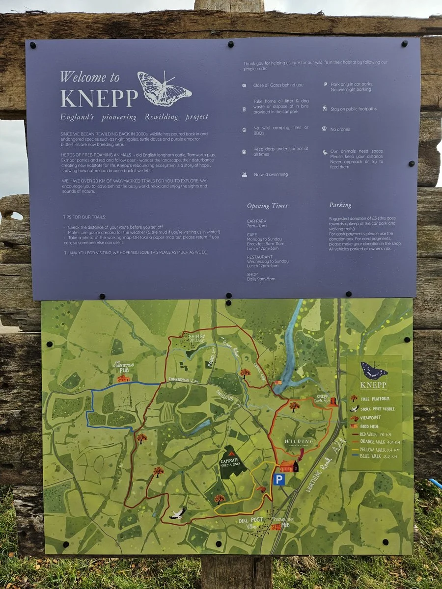 Knepp Estate 10km Sunday walk
