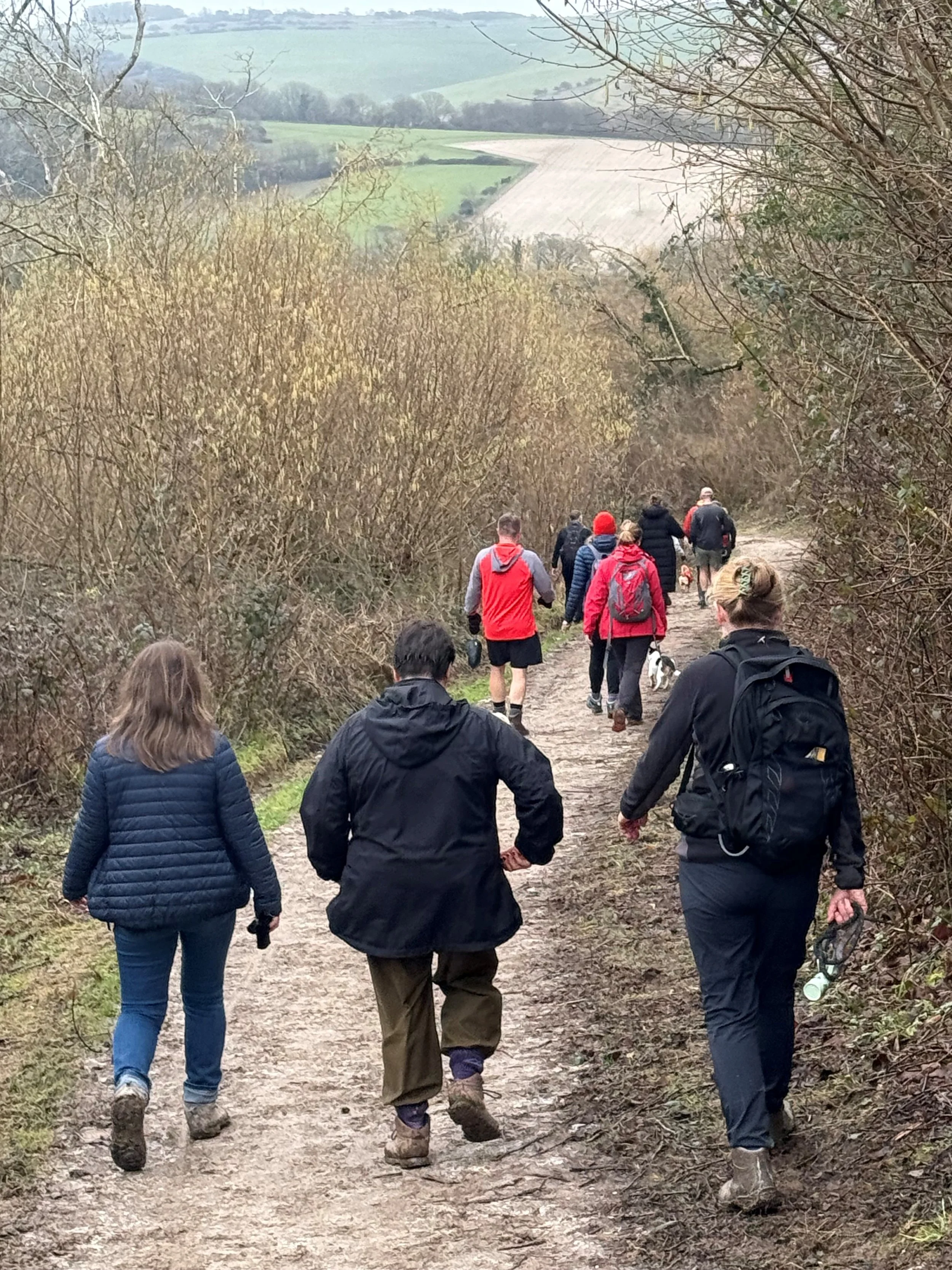 Walk1.jpg