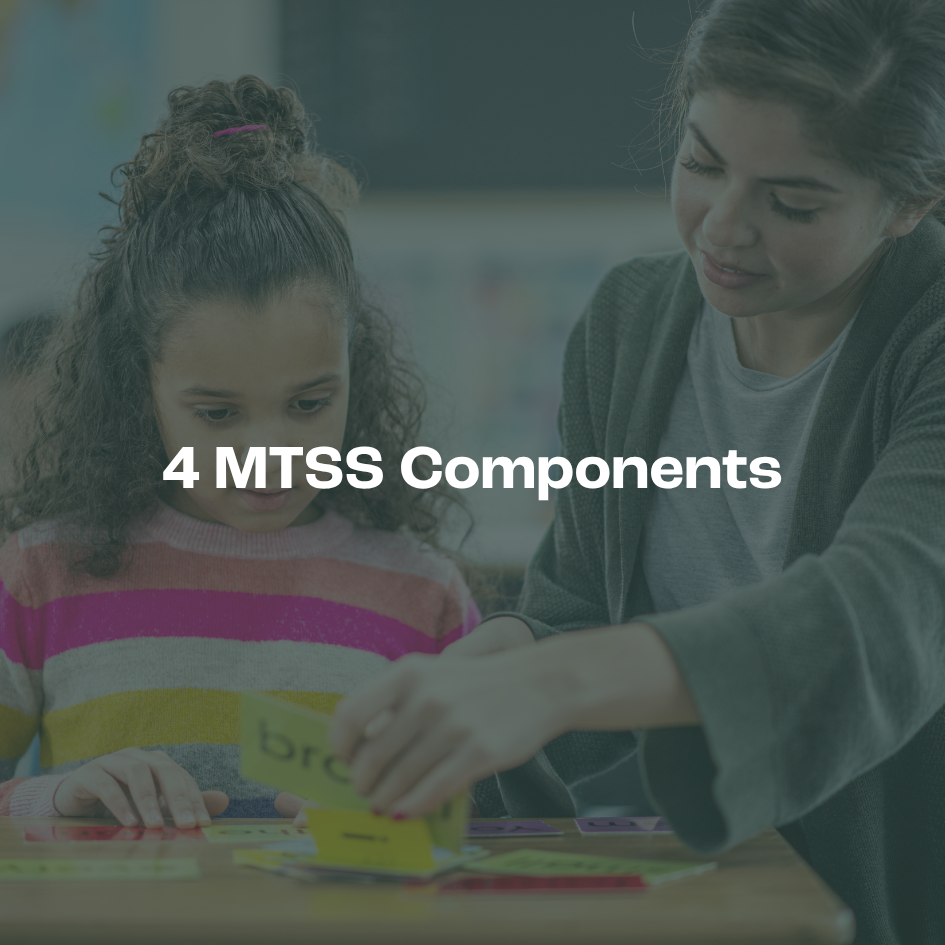 4 MTSS Components
