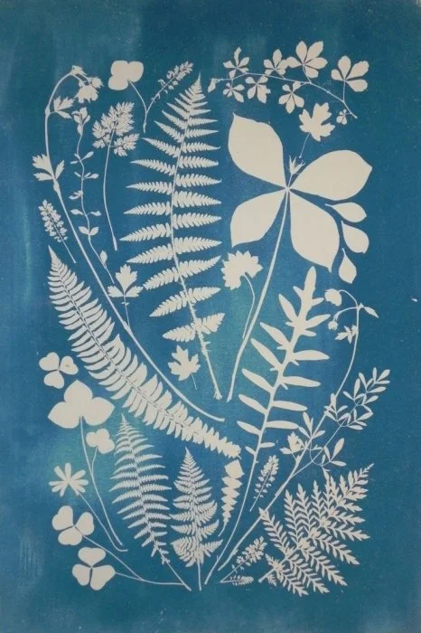 2026 Cyanotype Art in the Garden - FREE