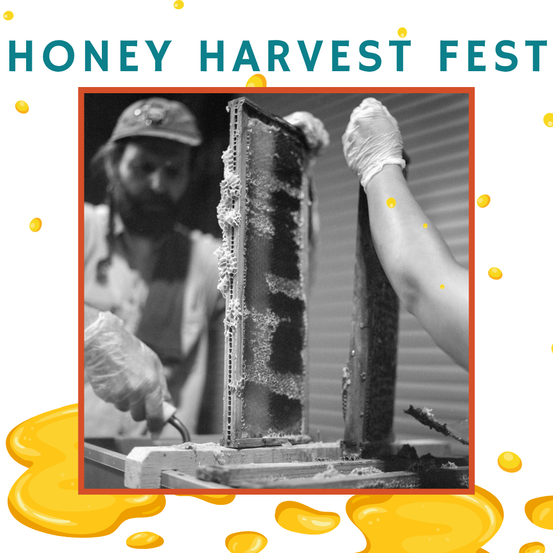 Honey Harvest Fest