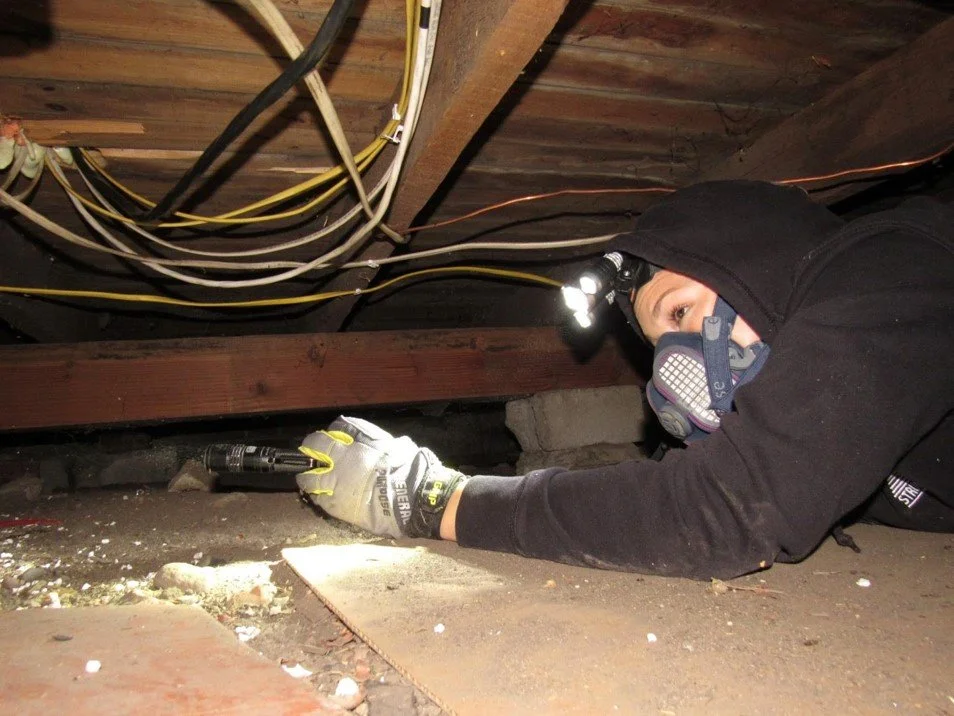 crawlspace.jpg