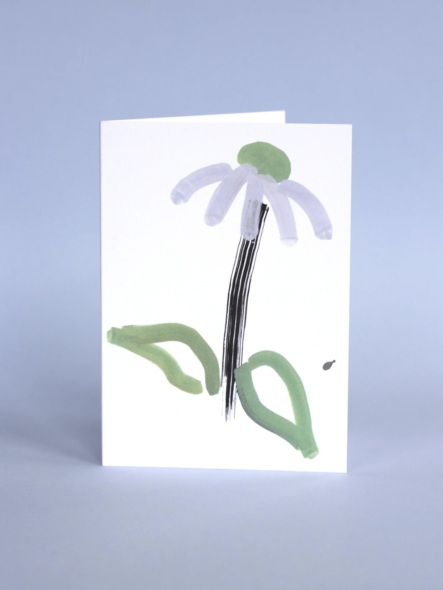 lucky_luijk_lightblue_echinacea.jpg