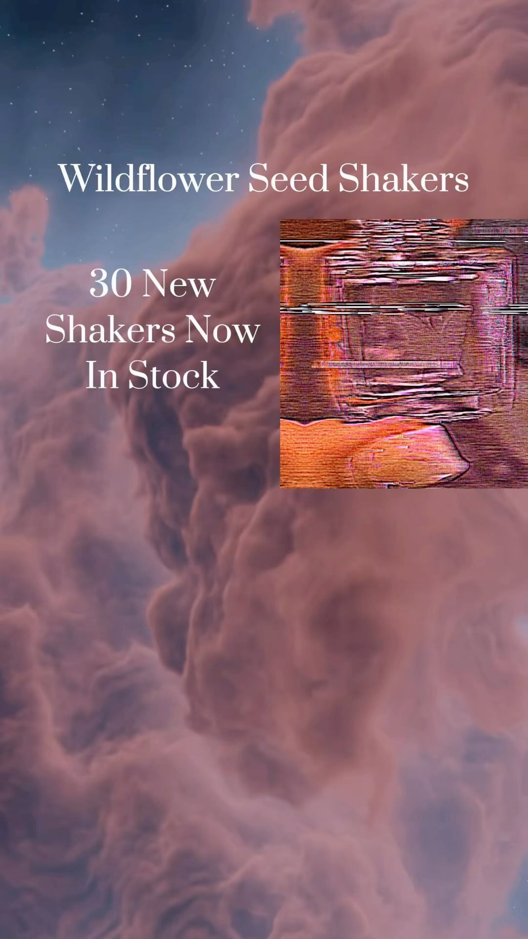 Rolling into this market SZN strong with 30 new wildflower seed shakers all uniquely customized πΌ
•
How will you spread an impact? #thewildflowerprojectco #wildflowerseedshakers #plantnative