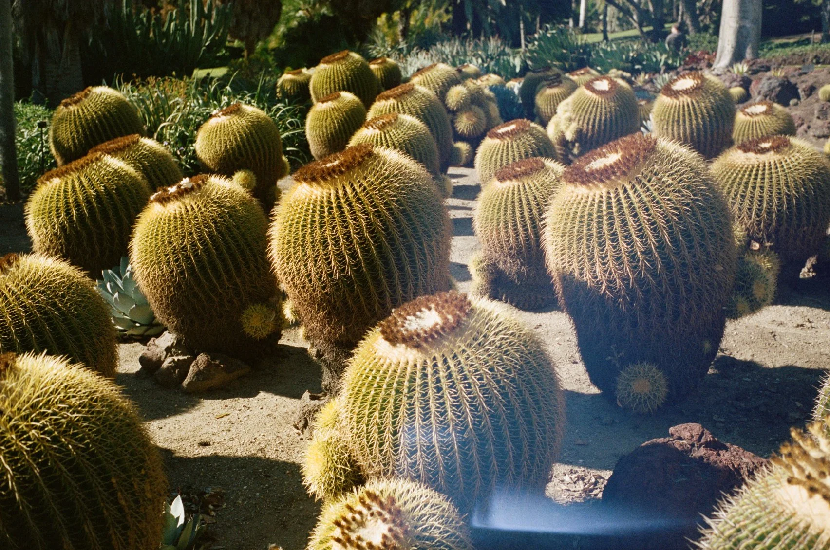 00010038-2.jpg