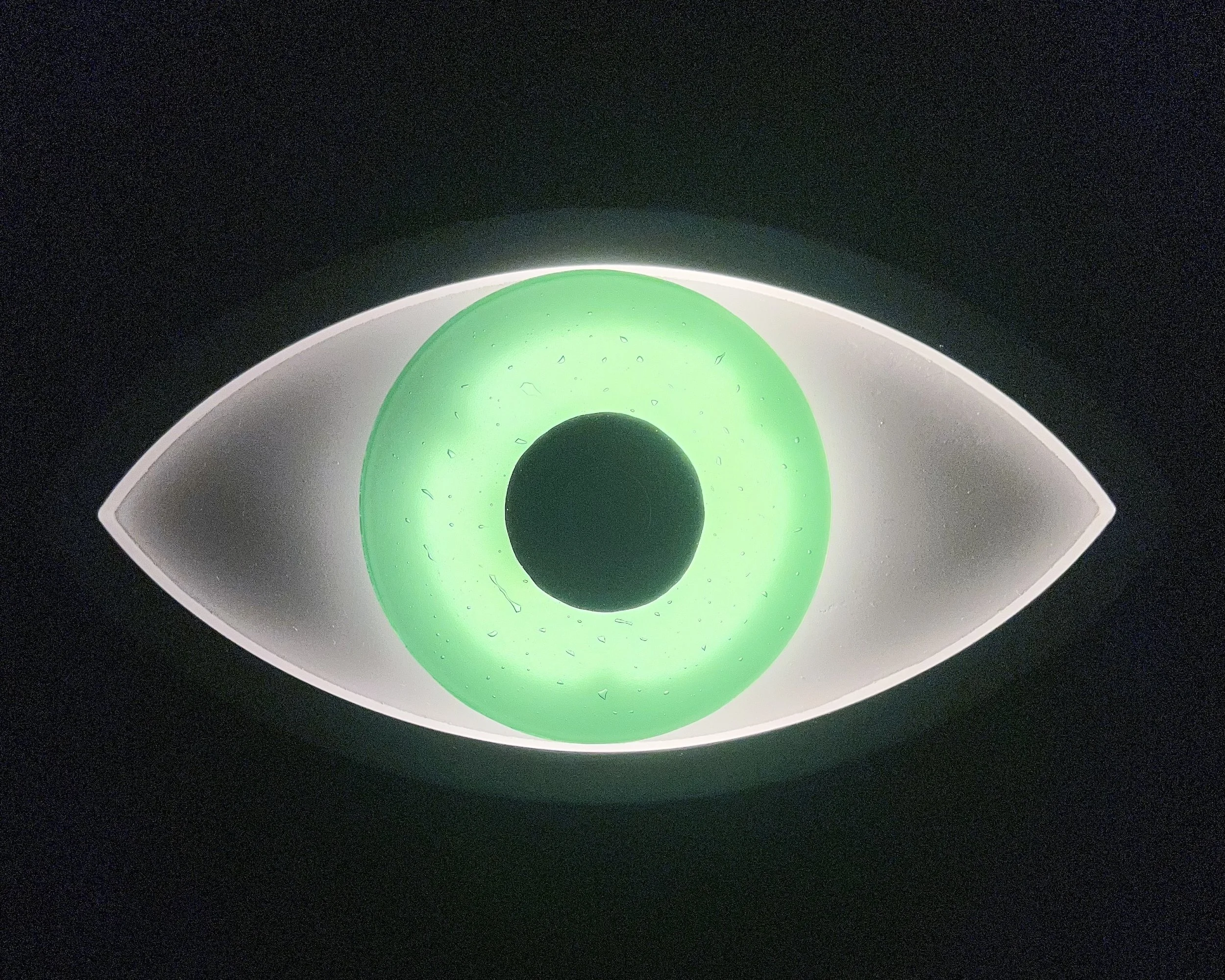 Eye Lights CarterIMG_8057 2.jpeg